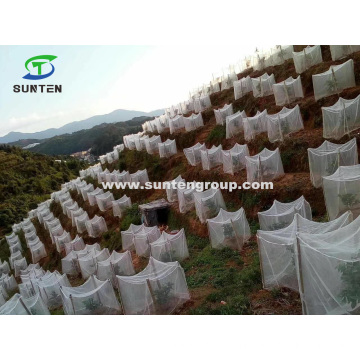 HDPE/PE/Nylon/Plastic Vegetable Protection/Anti Mosquito/Malaria/Fly/Hail/Insect/Aphid/Bee Control/Proof Mesh for Agriculture/Greenhouse/Farm